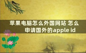 苹果电脑怎么外国网站 怎么申请国外的apple id